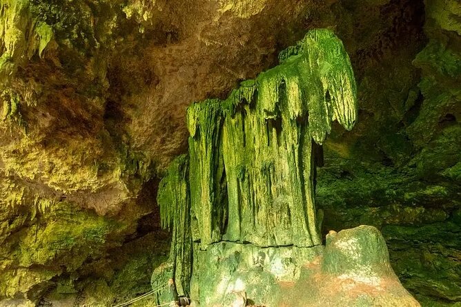 Salaam Cave Zanzibar (Turtles Santuary) - A peaceful stop with useful extras