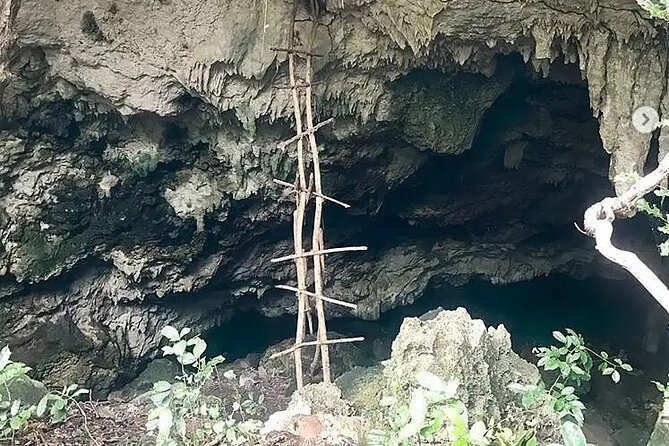 Salaam Cave Zanzibar (Turtles Santuary) - Who will enjoy this experience most?