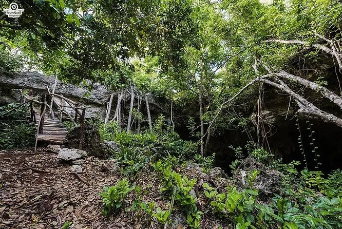 Salaam Cave Zanzibar (Turtles Santuary) - Booking timing, group size, and cancellation