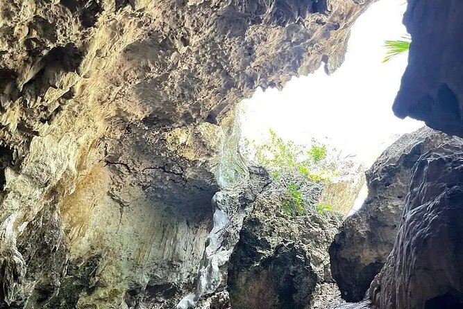 Salaam Cave Zanzibar (Turtles Santuary) - The morning transfer to Kizimkazi