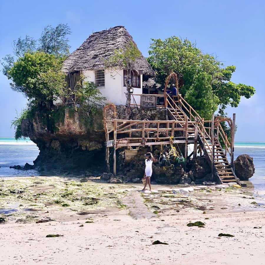 Salam cave turles swimming, paje beach , the Rock Restaurant - Key points to know before booking
