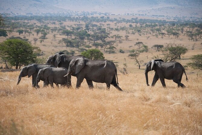 Savannah Escape & Active Culture Tour - Day four: meeting the Hadza near Lake Eyasi