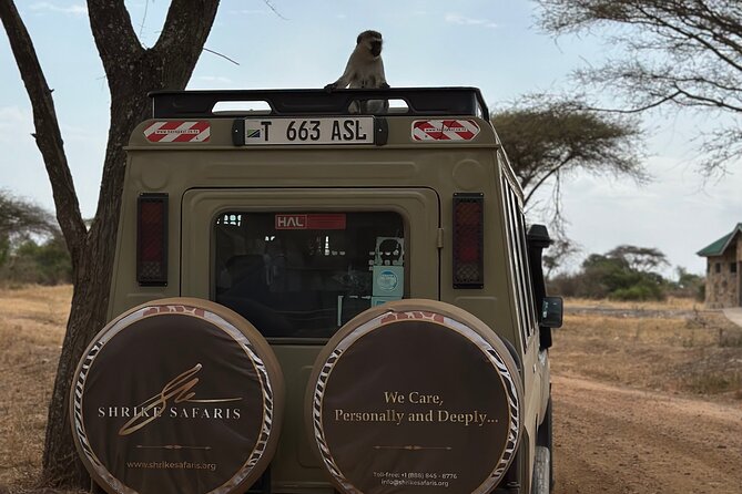Serengeti 2-Day Safari from Mwanza - Practical preparation for the two days