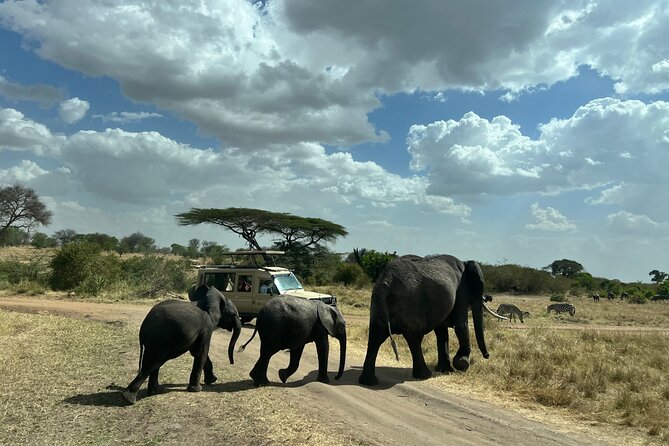 Serengeti 2-Day Safari from Mwanza - Who should book this safari?