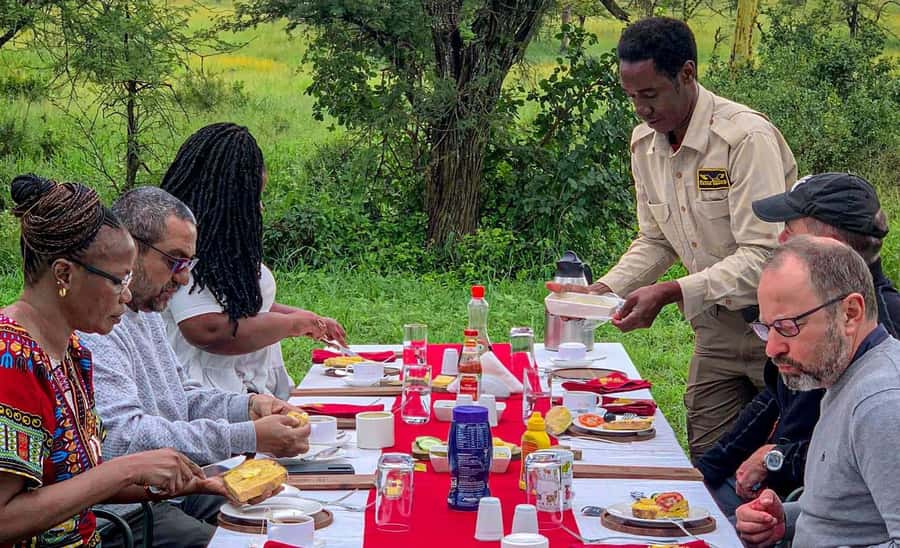 Serengeti Balloon Ride and Luxury Bush Breakfast - Why a balloon gives you a different Serengeti view