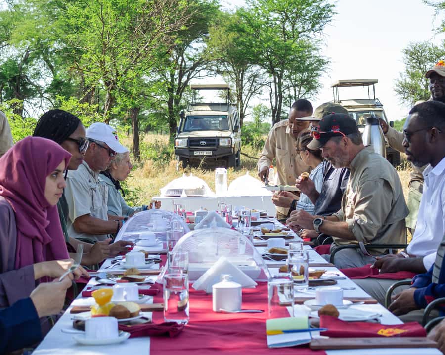 Serengeti Balloon Ride and Luxury Bush Breakfast - Who should book this Serengeti flight