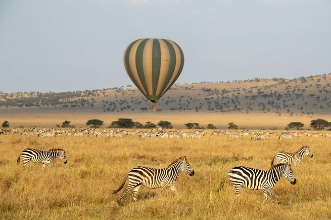 Serengeti Balloon Safari and authentic bush breakfast - Seronera: the year-round choice