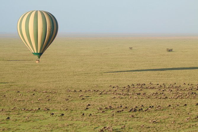 Serengeti Balloon Safari and authentic bush breakfast - Ndutu Lake from mid-December through March