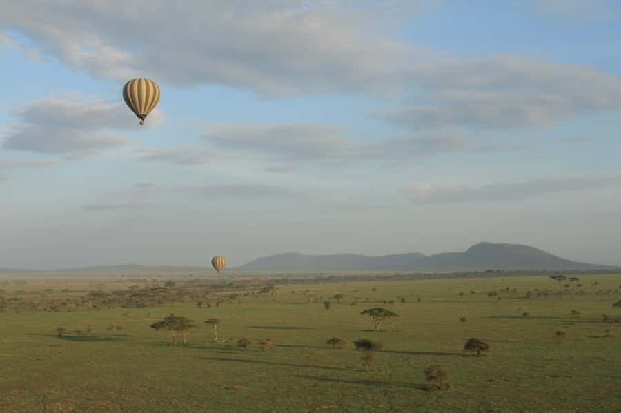 Serengeti National Park: Balloon Safari at Dawn - Five Things to Know Before You Book