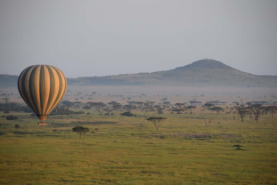 Serengeti National Park: Balloon Safari at Dawn - Is $599 Good Value?