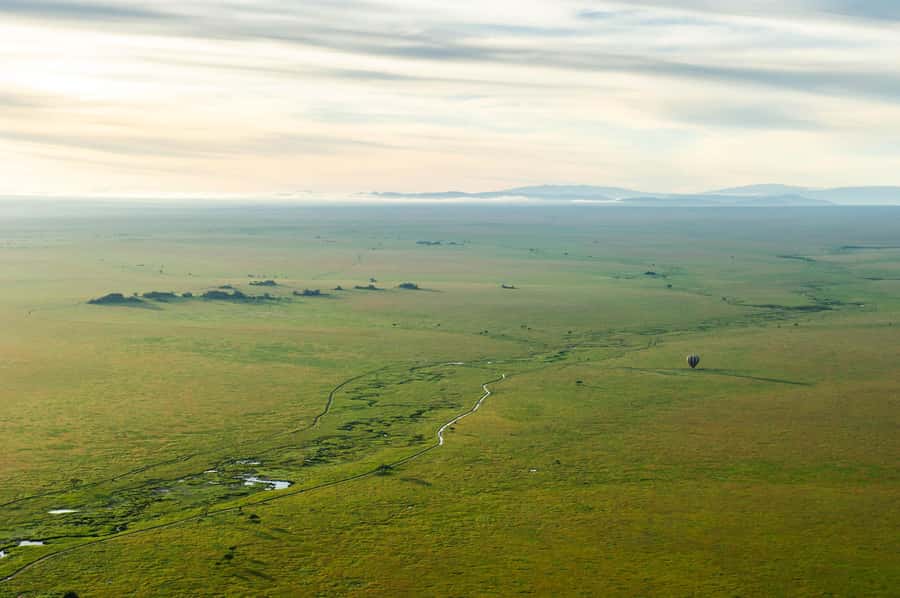 Serengeti National Park: Balloon Safari at Dawn - Languages, Timing, and Cancellation