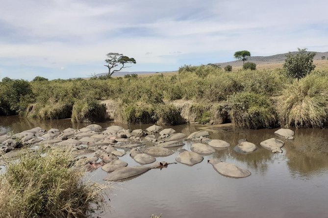 SERENGETI NATIONAL PARK Tour - Day Three: Hippos, Crocodiles, and the Northern Corridor