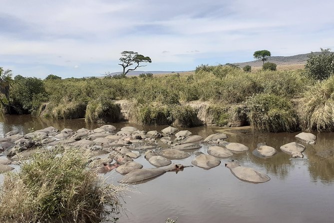 SERENGETI NATIONAL PARK Tour - What the $3,487.18 Price Means