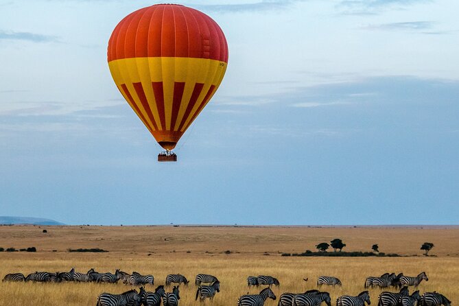 Serengeti & Ngorongoro 3 Days Budget Safari - Key points to know before booking