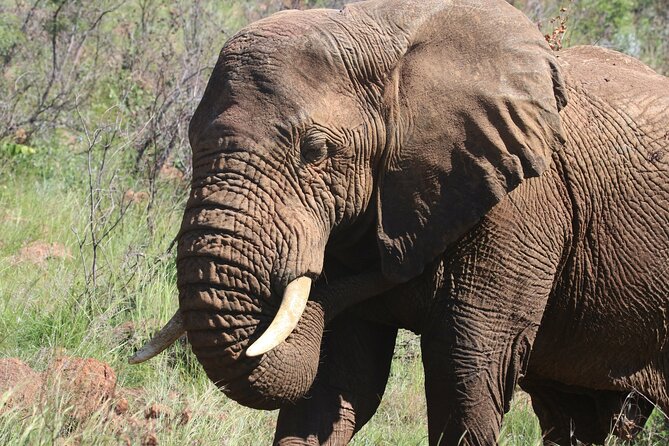 Serengeti & Ngorongoro 3 Days Budget Safari - What this three-day safari is really offering