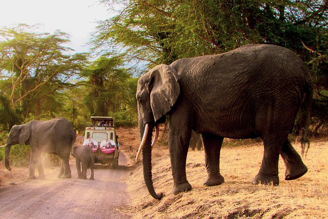 Serengeti & Ngorongoro 3 Days Budget Safari - Day 3: descending into Ngorongoro Crater
