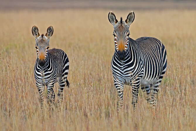 Serengeti & Ngorongoro 3 Days Budget Safari - The cultural stop and the Rift Valley route