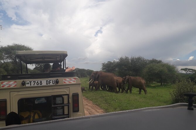 Serengeti & Ngorongoro 3 Days Budget Safari - Is $850 a fair budget safari price?