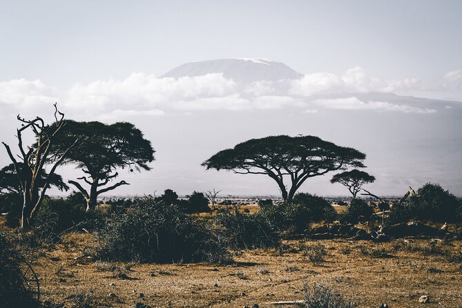 Serengeti & Ngorongoro 3 Days Budget Safari - Who will enjoy this safari most?