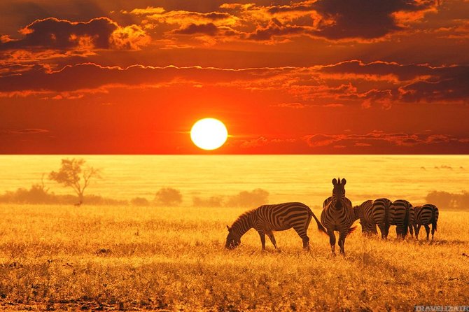 Serengeti & Ngorongoro 3 days Fly Safari in from Zanzibar - What the vehicle and guide mean for your experience
