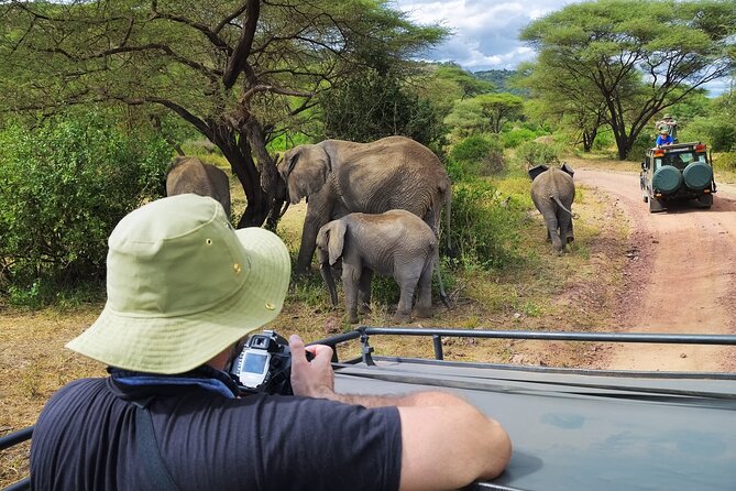 Serengeti & Ngorongoro fly in safari - Five details that shape this safari