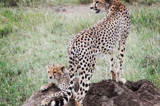 Serengeti & Ngorongoro fly in safari - What the $2,750.77 price includes