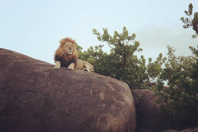 Serengeti & Ngorongoro fly in safari - The people who can shape the experience