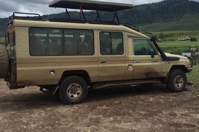 serengeti, ngorongoro & tarangire 5days private tour - What communication and planning appear to be like