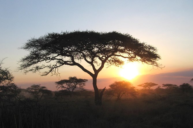 Serengeti Tour – 7Days/6 nights (4 stars accommodations) - Day three: crossing Ngorongoro country into the Serengeti