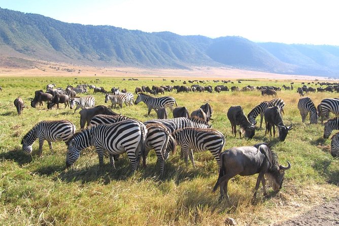 Serengeti Tour – 7Days/6 nights (4 stars accommodations) - Day two: Lake Manyara beneath the Rift Valley escarpment