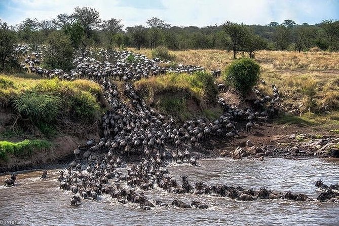 Serengeti Wildebeest Migration. - Day 2: Entering the endless Serengeti
