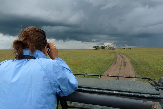 Serengeti Wildebeest Migration. - Day 5: Returning through Lobo to Seronera