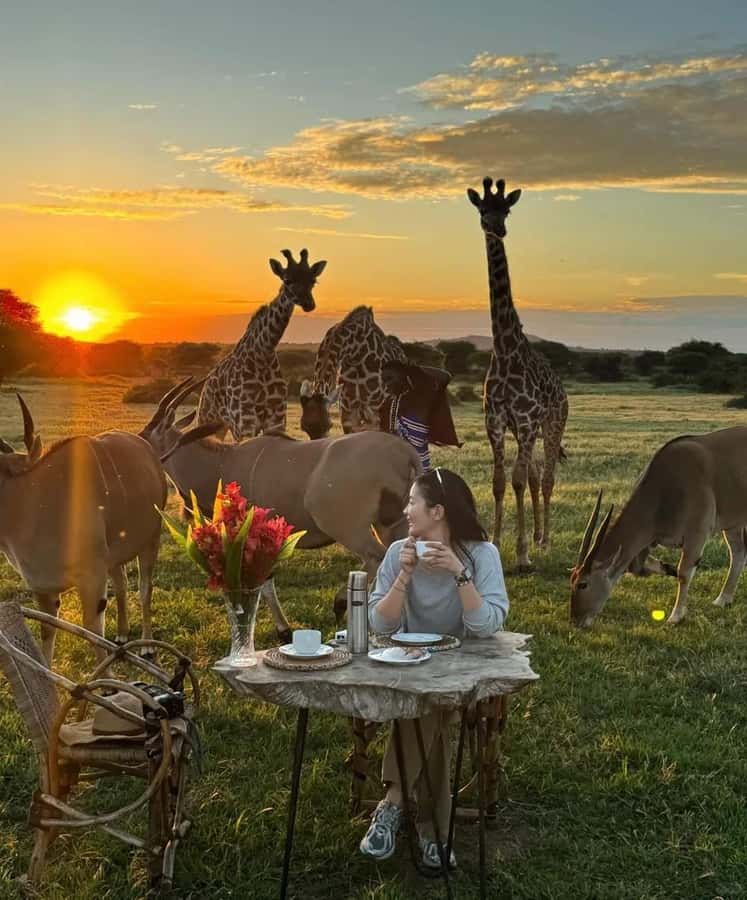 SERVAL WILDLIFE DAY - TOUR FROM ARUSHA, MOSHI OR ZANZIBAR. - Key points before you book