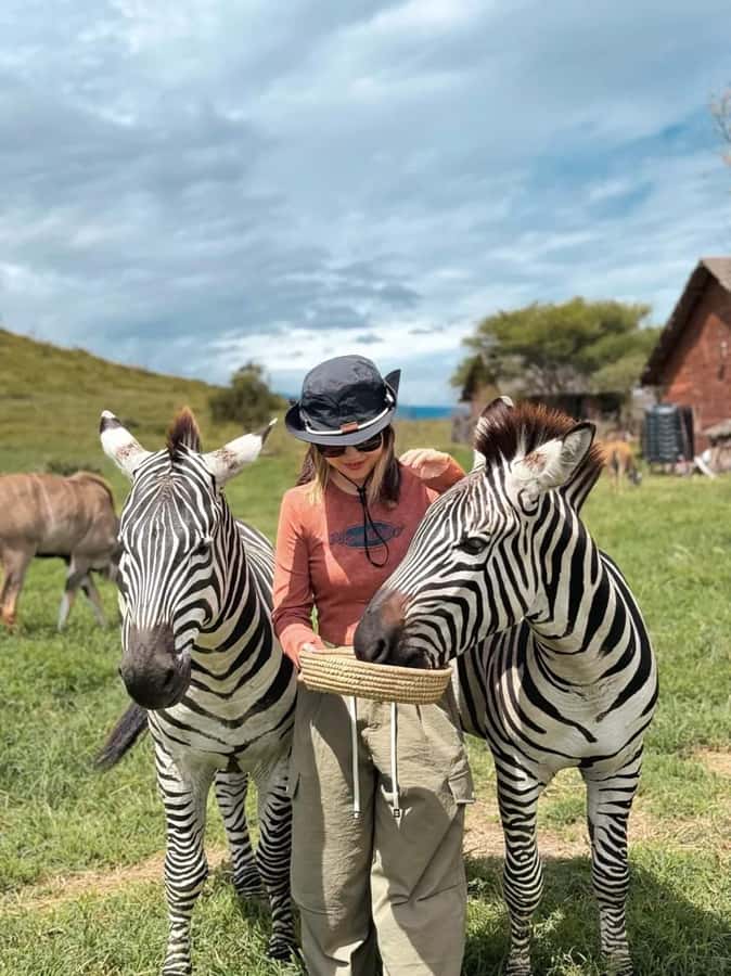 SERVAL WILDLIFE DAY - TOUR FROM ARUSHA, MOSHI OR ZANZIBAR. - What the Serval Wildlife Day experience is really like