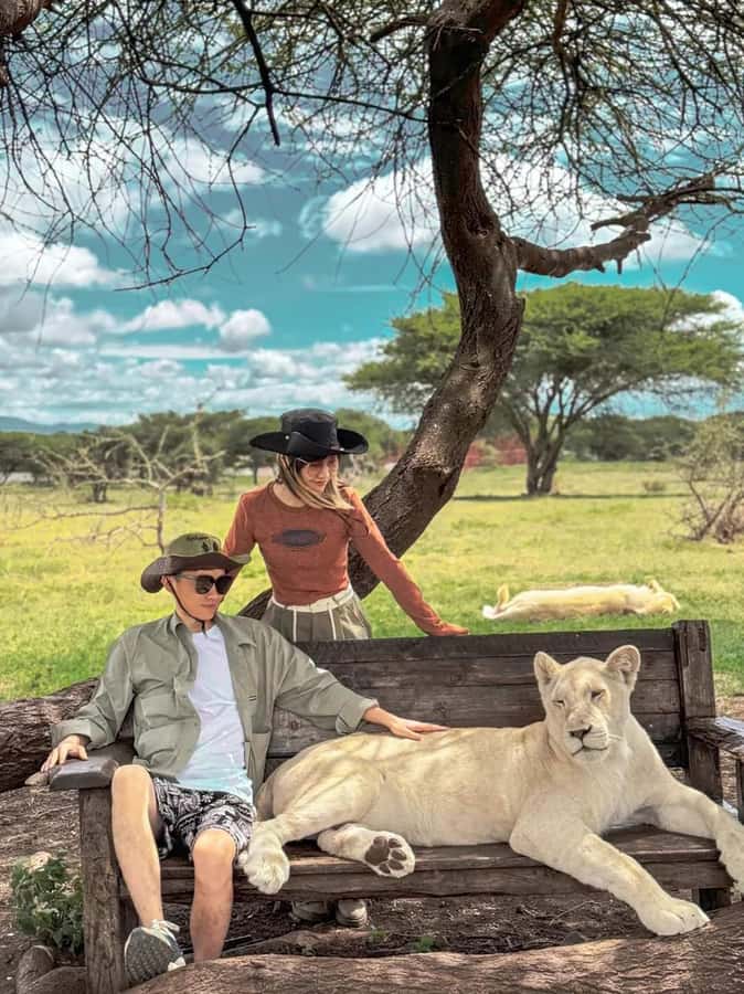 SERVAL WILDLIFE DAY - TOUR FROM ARUSHA, MOSHI OR ZANZIBAR. - The drive from Arusha to Kilimanjaro