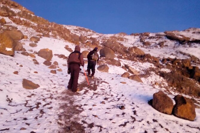Small-group 7-day Lemosho Route Kilimanjaro Climb from Arusha - Day 3: Lava Tower and the Descent to Barranco