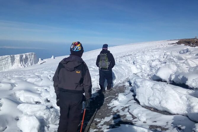 Small-group 7-day Lemosho Route Kilimanjaro Climb from Arusha - Day 7: Descending Through Wet Forest to Mweka Gate