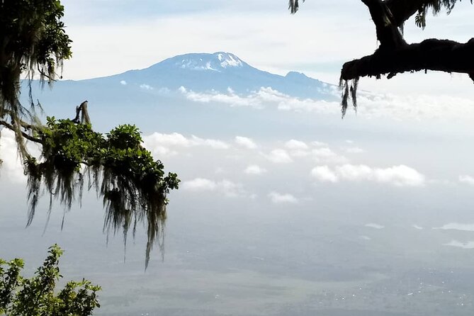 Small-group 7-day Lemosho Route Kilimanjaro Climb from Arusha - Day 1: From the Kilimanjaro Gate to the Rainforest