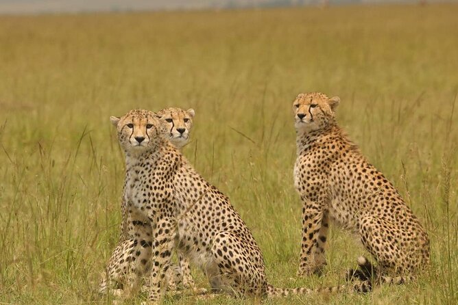 Small Group Serengeti and Ngorongoro Crater Adventure Safari - Who will get the most from this safari