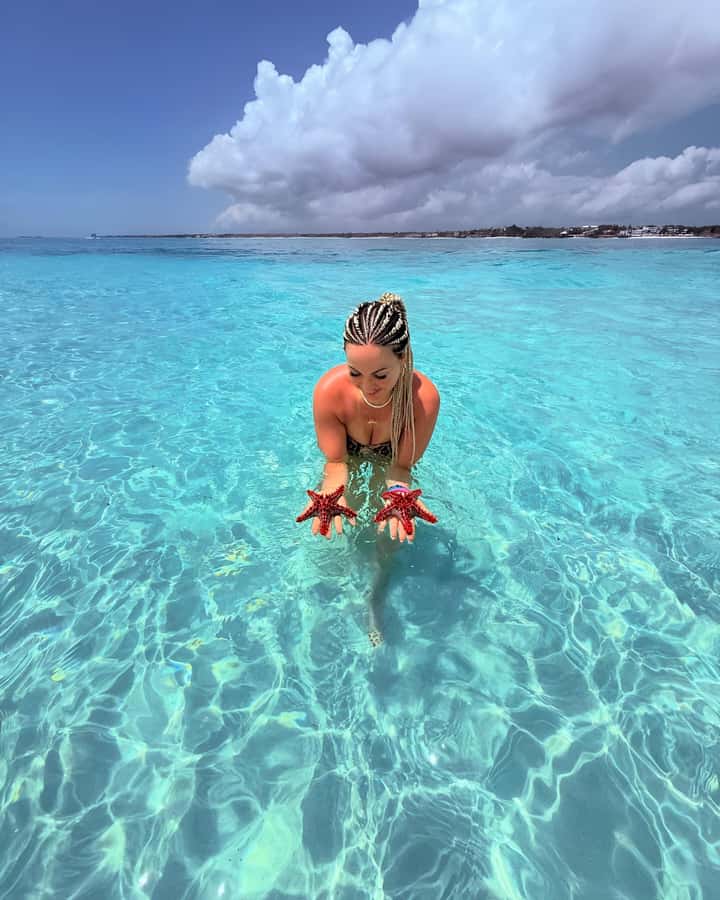 Snorkel Mnemba’s Reefs & Swim with Dolphins Adventure - Key points to know before you go