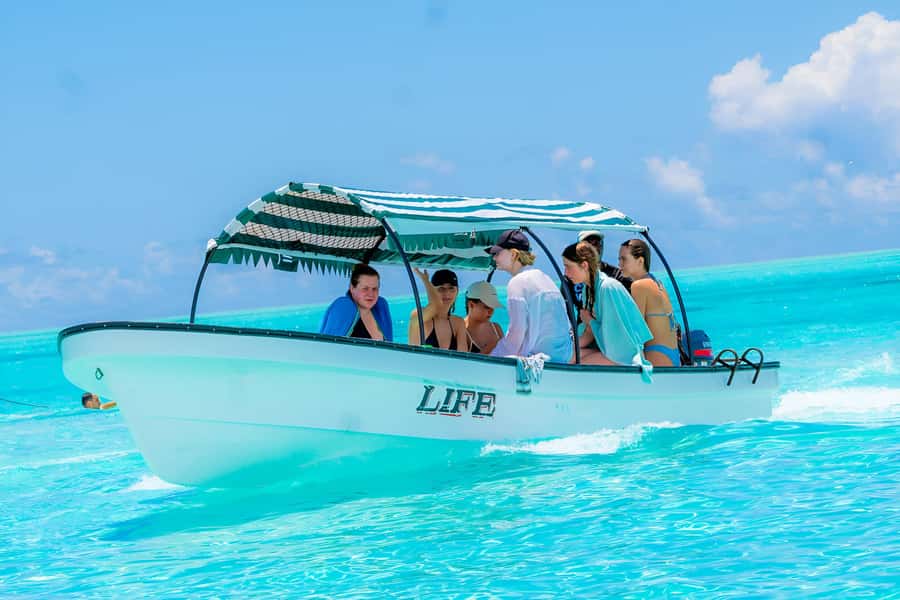 Snorkel Mnemba’s Reefs & Swim with Dolphins Adventure - Two hours around the reef
