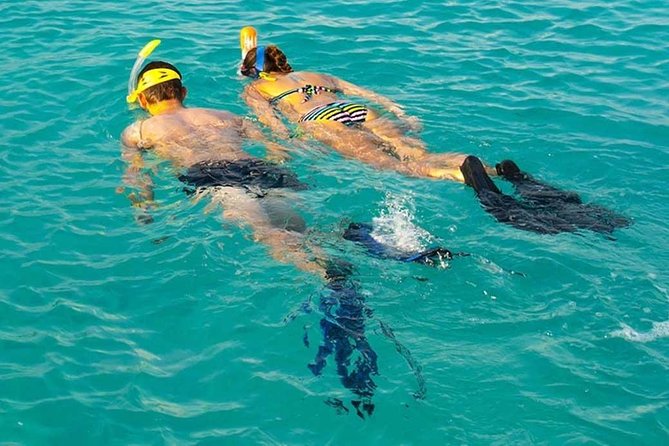 Snorkeling at Mnemba Atoll - Key points to know before you book