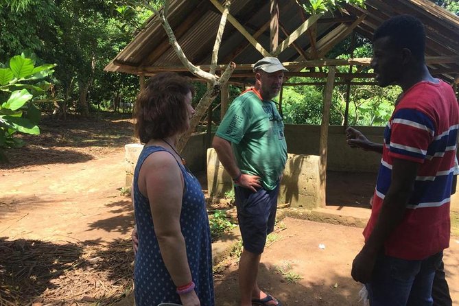 Spice Farm and Jozani Forest Private Tour - Jozani Forest and Zanzibar’s red colobus monkeys