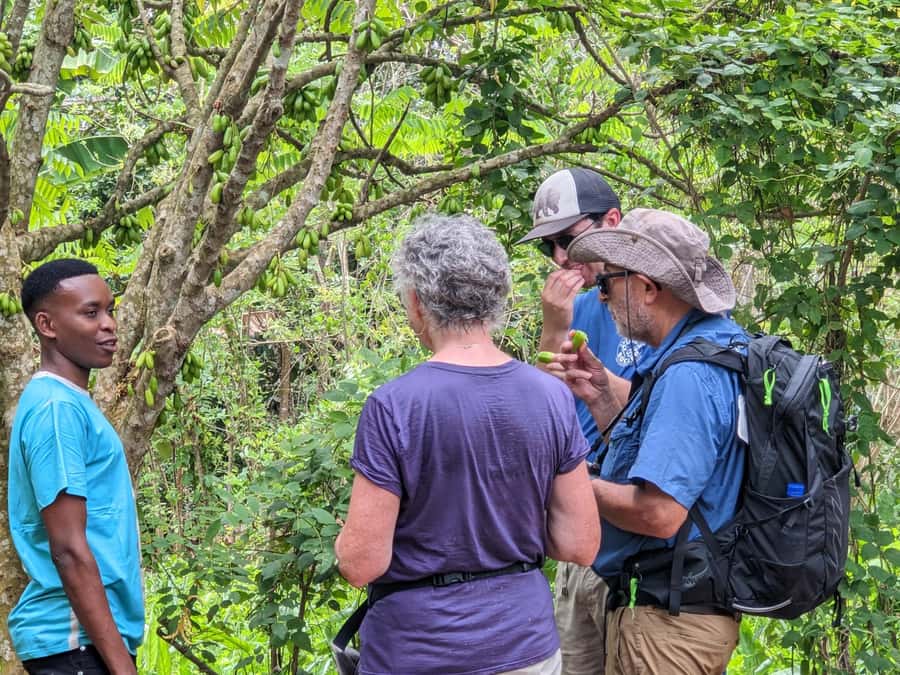 Spice Farm Bike Tour: Pedal Through Aromatic Adventures - Key Points Before You Book