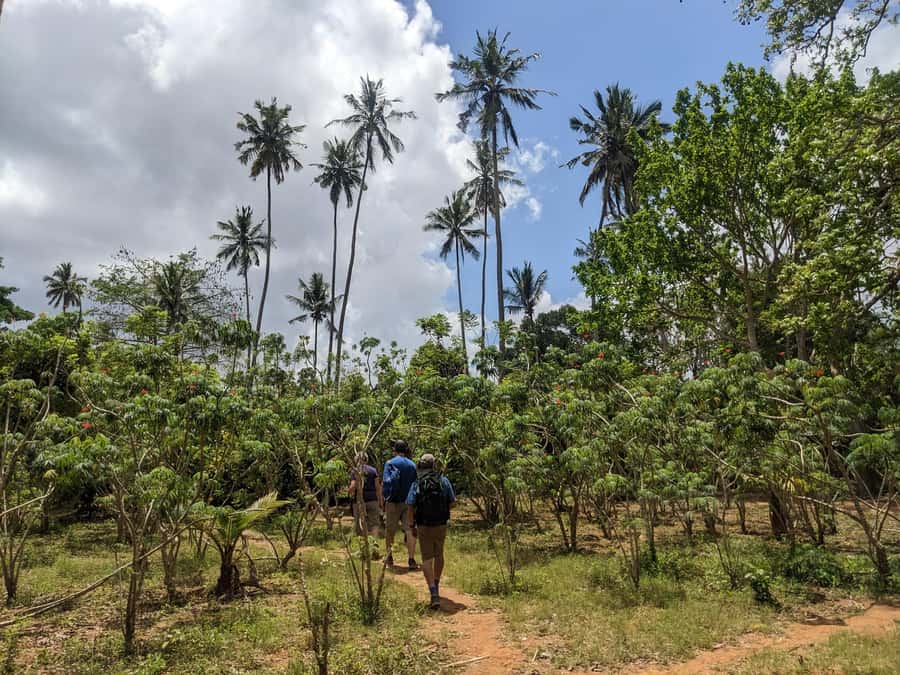 Spice Farm Bike Tour: Pedal Through Aromatic Adventures - The Guides Make a Big Difference