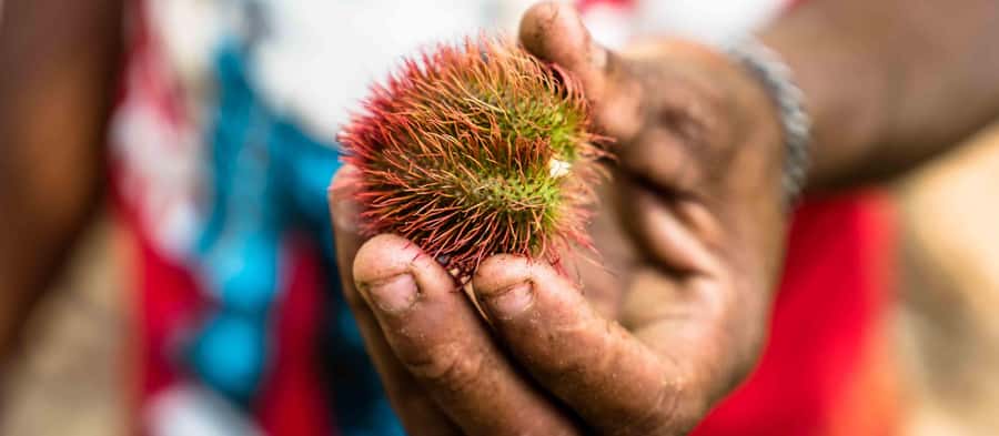 Spice Farm - spice up your life in Zanzibar - The fruit tasting is a welcome second act