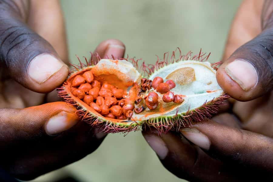 Spice Farm - spice up your life in Zanzibar - What the guide adds to the experience