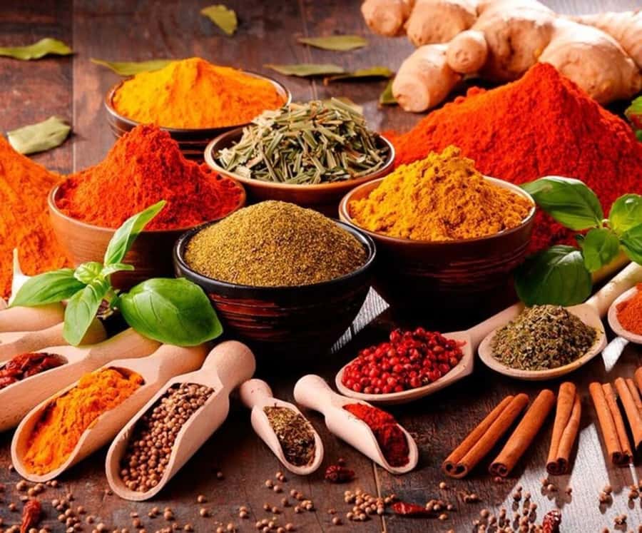 Spice farm,Stone town and Jozani forest tour with lunch - Languages, flexibility, and practical planning