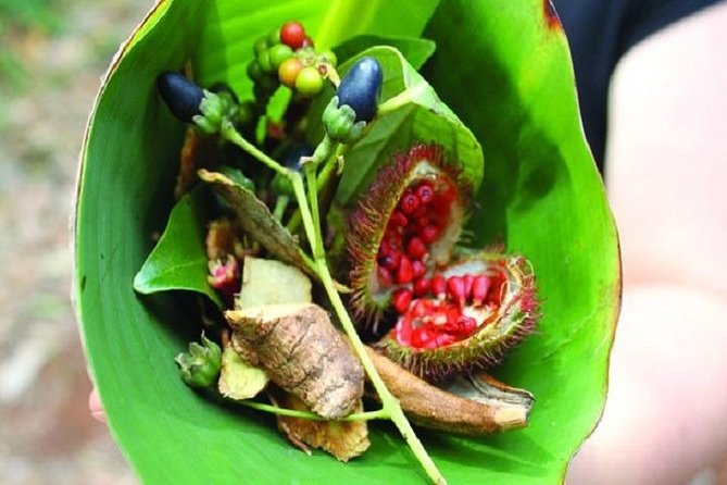 Spice Tour + Stone Town Tour + Prison Island - The Jambo Spice Farm: the day’s most hands-on stop