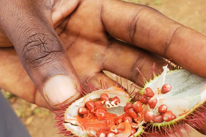 Spice Tour Zanzibar - A coconut demonstration and fresh local fruit
